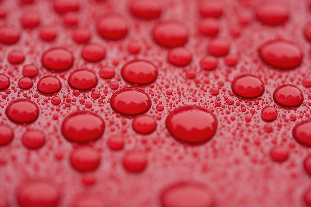 Water beading on hydrophobic PPF car bonnet