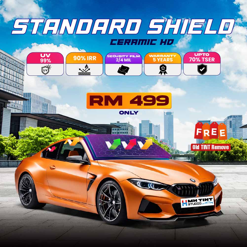 Web Car Tinting - Apr'25 FInal (2)-01